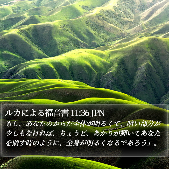 ルカによる福音書 11:36 JPN Bible Study