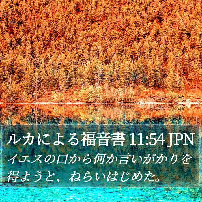 ルカによる福音書 11:54 JPN Bible Study
