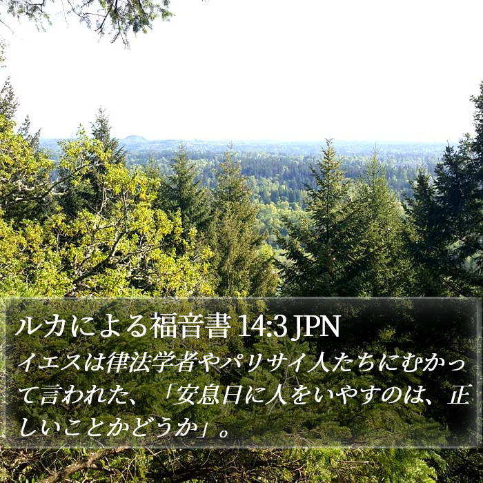 ルカによる福音書 14:3 JPN Bible Study