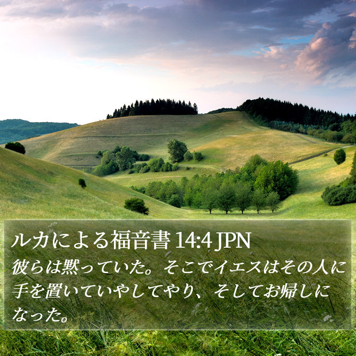 ルカによる福音書 14:4 JPN Bible Study