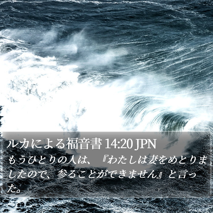 ルカによる福音書 14:20 JPN Bible Study