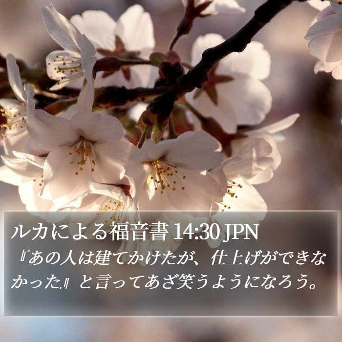 ルカによる福音書 14:30 JPN Bible Study