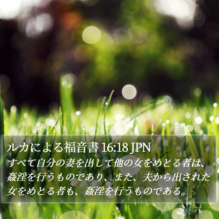 ルカによる福音書 16:18 JPN Bible Study