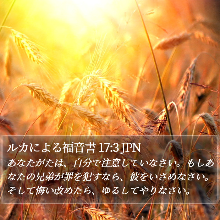 ルカによる福音書 17:3 JPN Bible Study