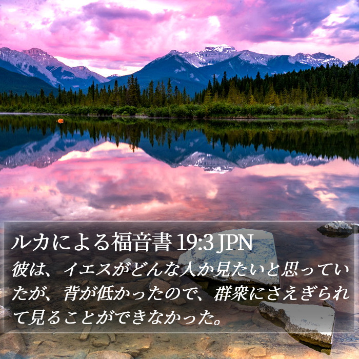 ルカによる福音書 19:3 JPN Bible Study