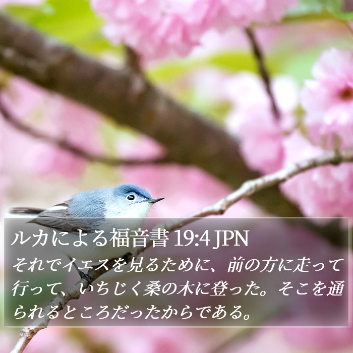 ルカによる福音書 19:4 JPN Bible Study