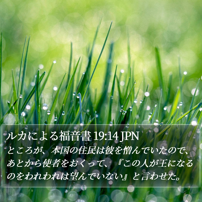 ルカによる福音書 19:14 JPN Bible Study