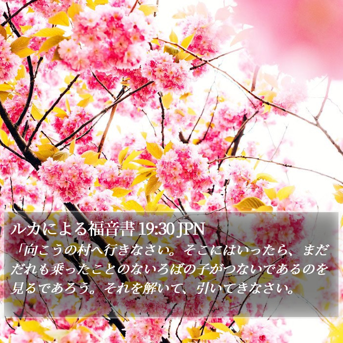 ルカによる福音書 19:30 JPN Bible Study