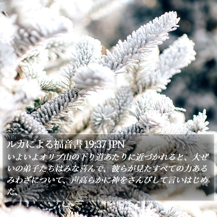 ルカによる福音書 19:37 JPN Bible Study