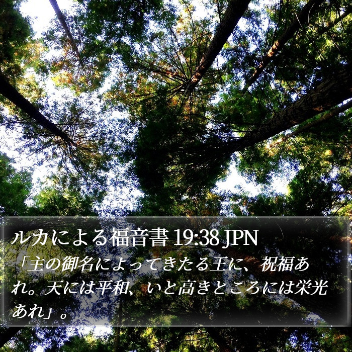 ルカによる福音書 19:38 JPN Bible Study
