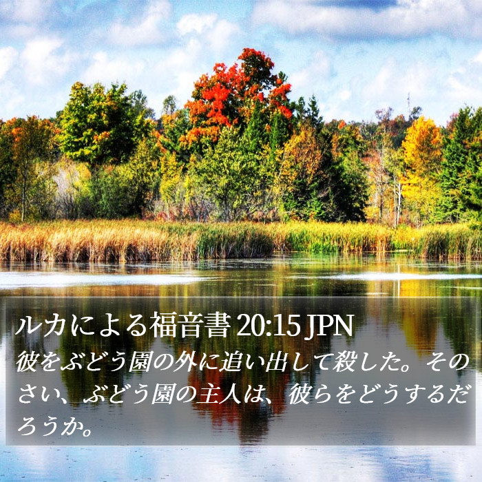 ルカによる福音書 20:15 JPN Bible Study