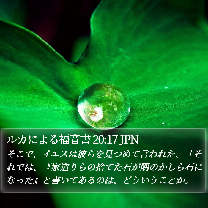 ルカによる福音書 20:17 JPN Bible Study