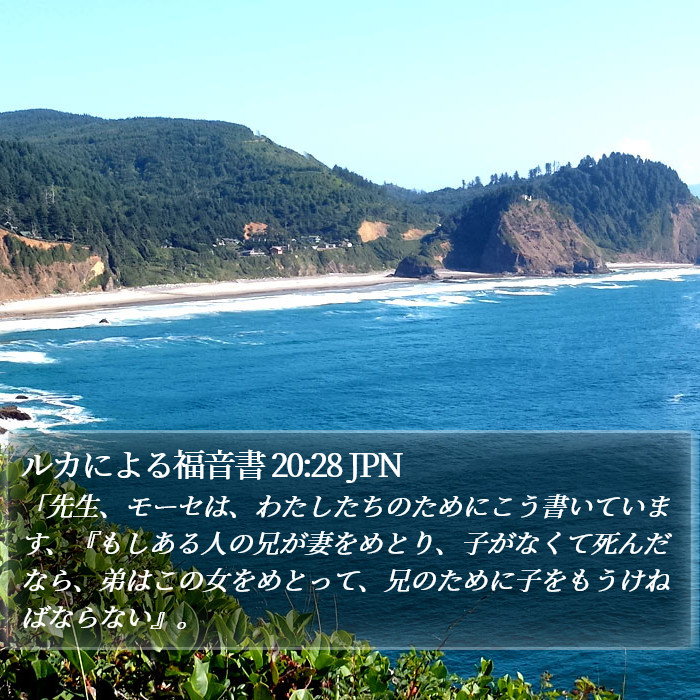 ルカによる福音書 20:28 JPN Bible Study