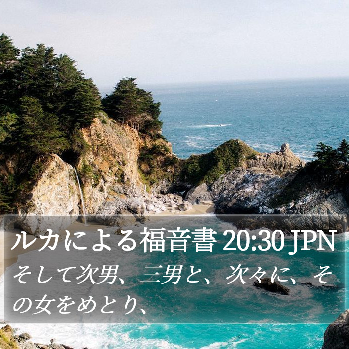 ルカによる福音書 20:30 JPN Bible Study