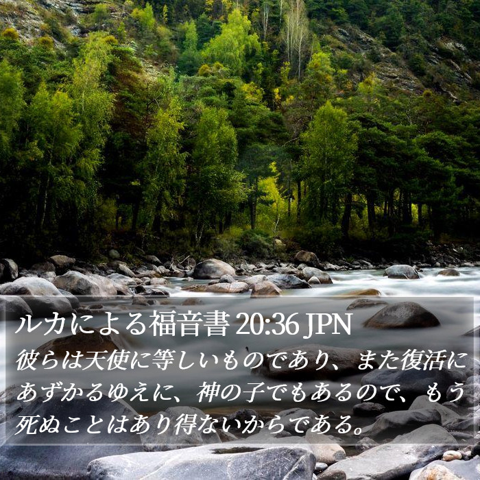 ルカによる福音書 20:36 JPN Bible Study
