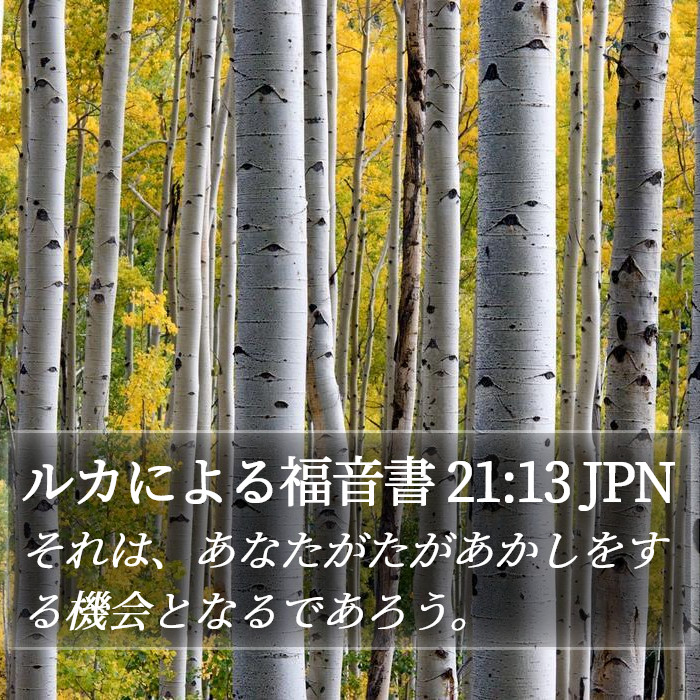 ルカによる福音書 21:13 JPN Bible Study