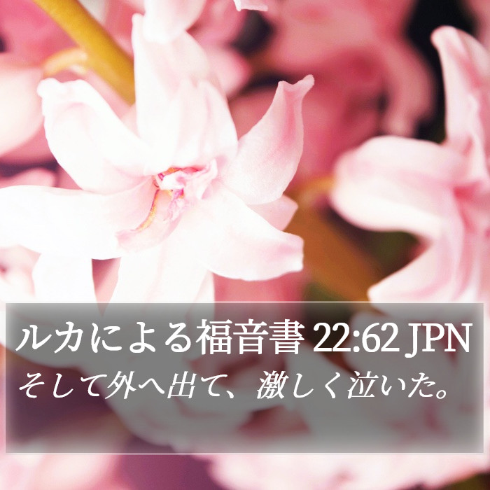 ルカによる福音書 22:62 JPN Bible Study