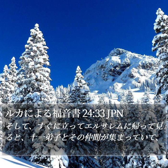 ルカによる福音書 24:33 JPN Bible Study