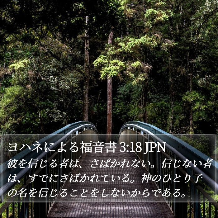 ヨハネによる福音書 3:18 JPN Bible Study