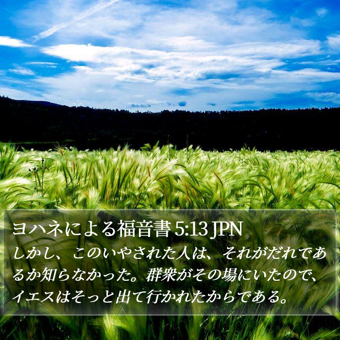 ヨハネによる福音書 5:13 JPN Bible Study