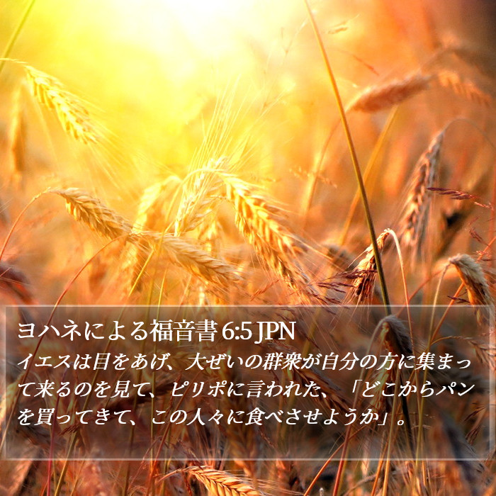 ヨハネによる福音書 6:5 JPN Bible Study