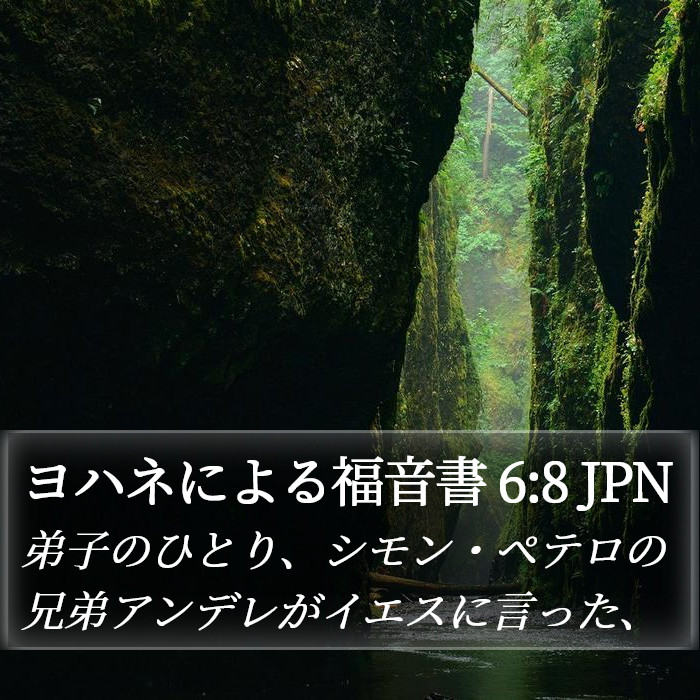 ヨハネによる福音書 6:8 JPN Bible Study