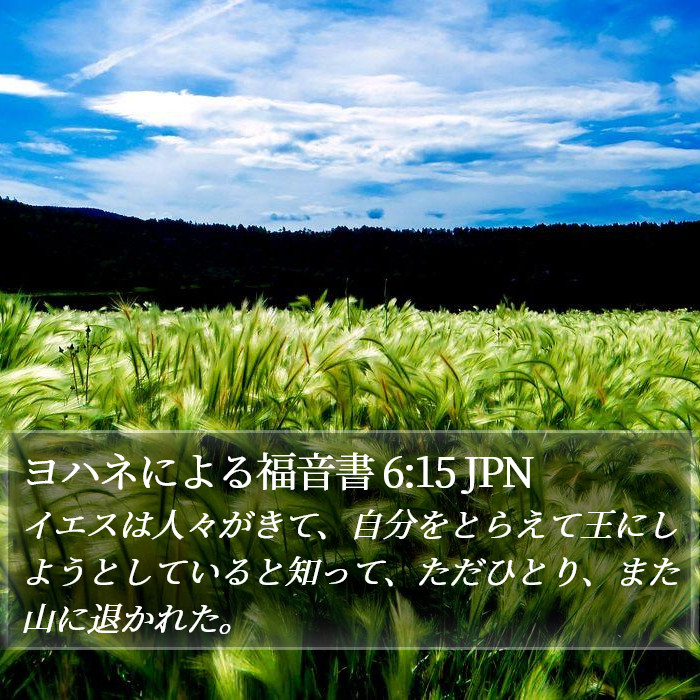 ヨハネによる福音書 6:15 JPN Bible Study