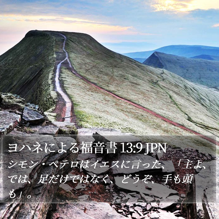 ヨハネによる福音書 13:9 JPN Bible Study