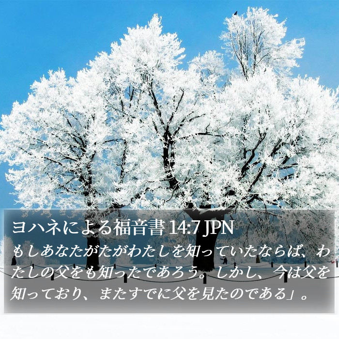 ヨハネによる福音書 14:7 JPN Bible Study