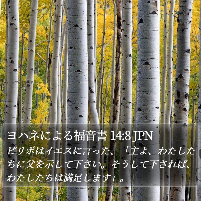 ヨハネによる福音書 14:8 JPN Bible Study