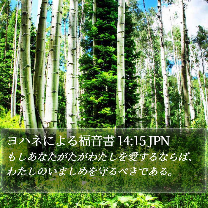 ヨハネによる福音書 14:15 JPN Bible Study