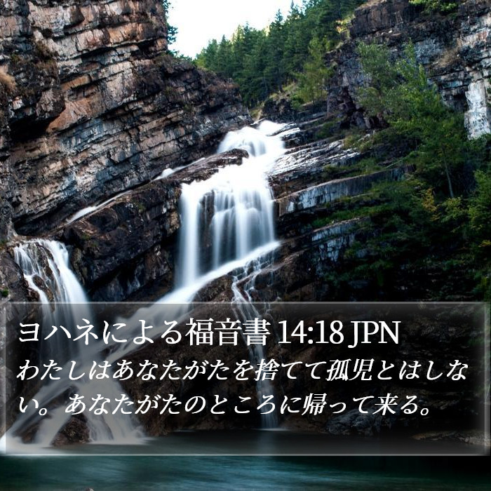 ヨハネによる福音書 14:18 JPN Bible Study