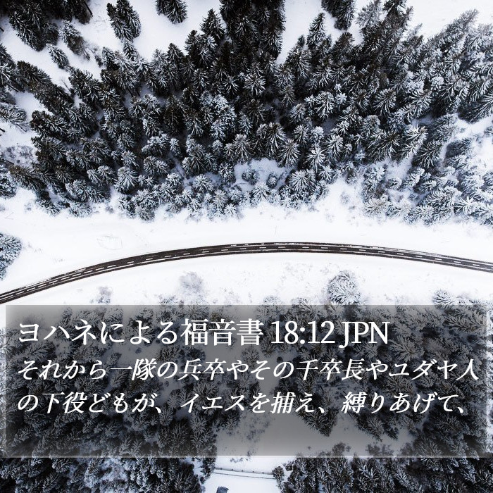 ヨハネによる福音書 18:12 JPN Bible Study