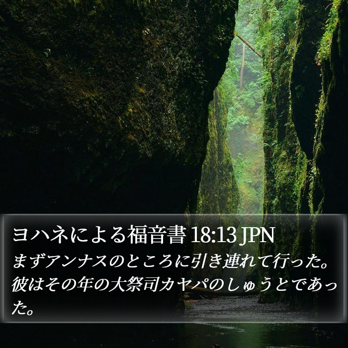 ヨハネによる福音書 18:13 JPN Bible Study