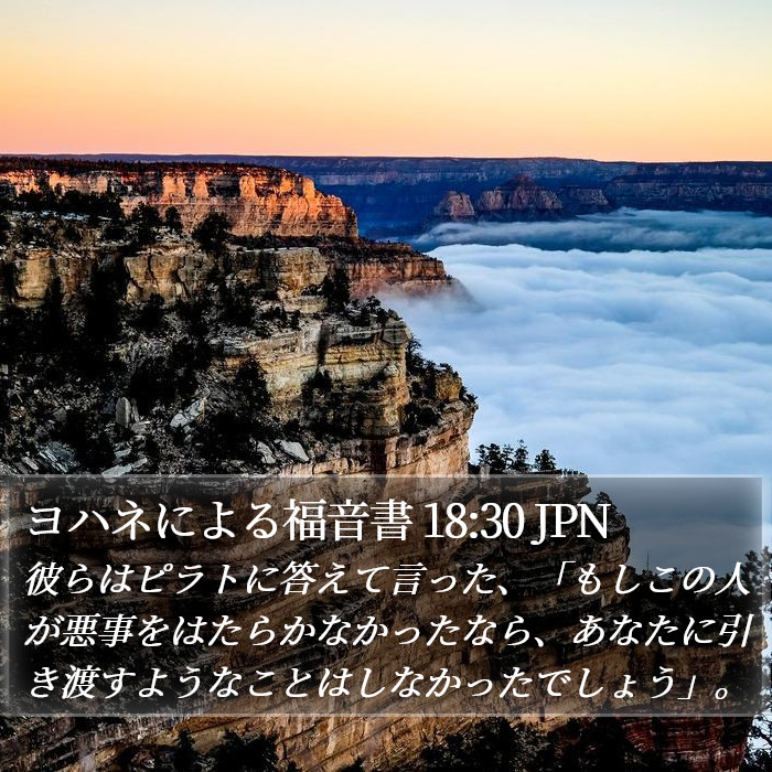 ヨハネによる福音書 18:30 JPN Bible Study