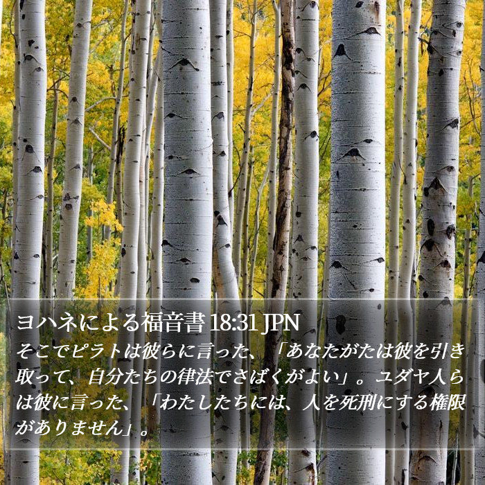 ヨハネによる福音書 18:31 JPN Bible Study