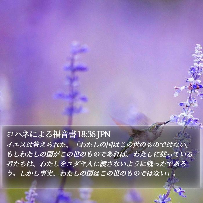 ヨハネによる福音書 18:36 JPN Bible Study