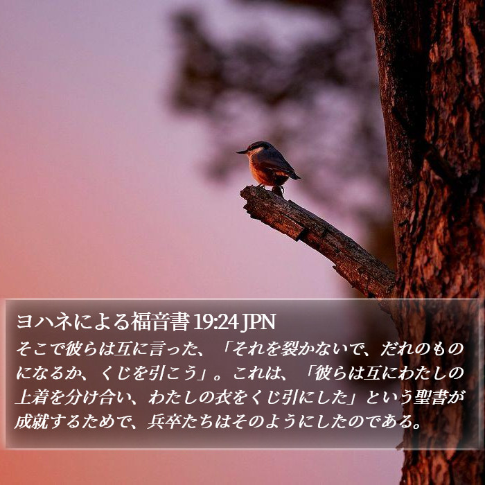 ヨハネによる福音書 19:24 JPN Bible Study