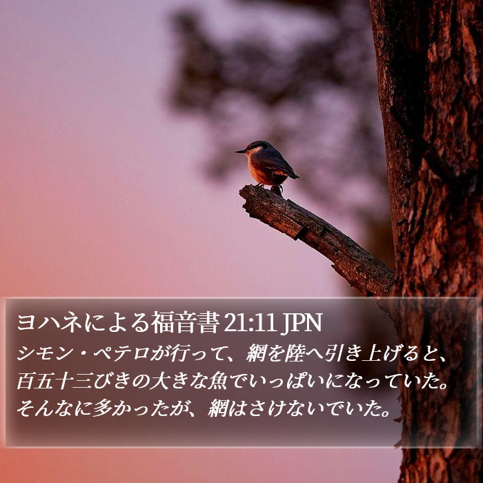 ヨハネによる福音書 21:11 JPN Bible Study