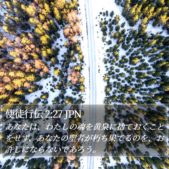 使徒行伝 2:27 JPN Bible Study