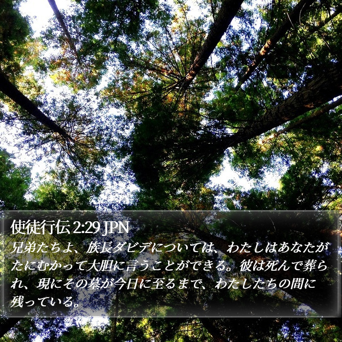 使徒行伝 2:29 JPN Bible Study