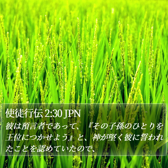 使徒行伝 2:30 JPN Bible Study