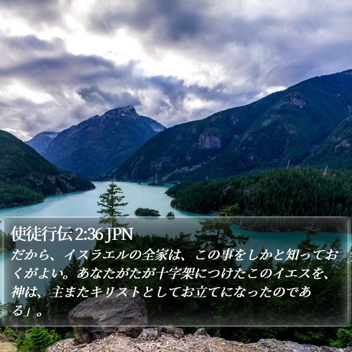 使徒行伝 2:36 JPN Bible Study