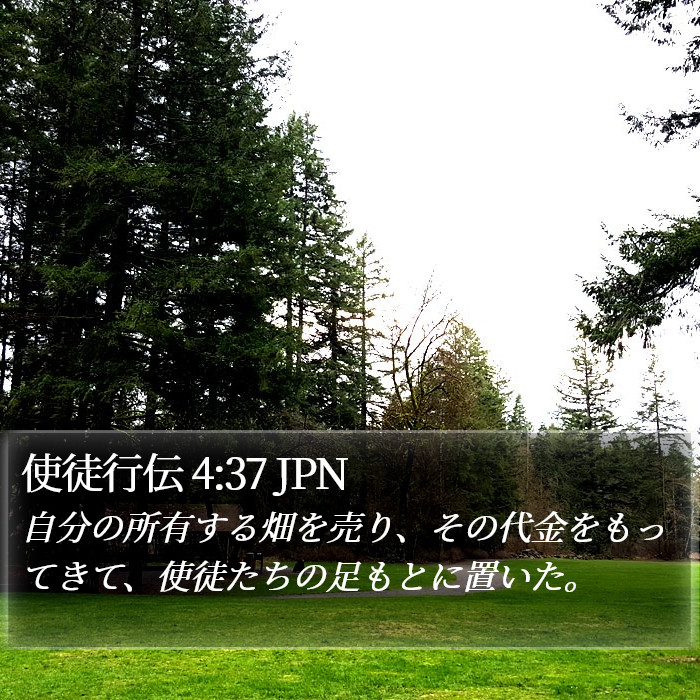 使徒行伝 4:37 JPN Bible Study