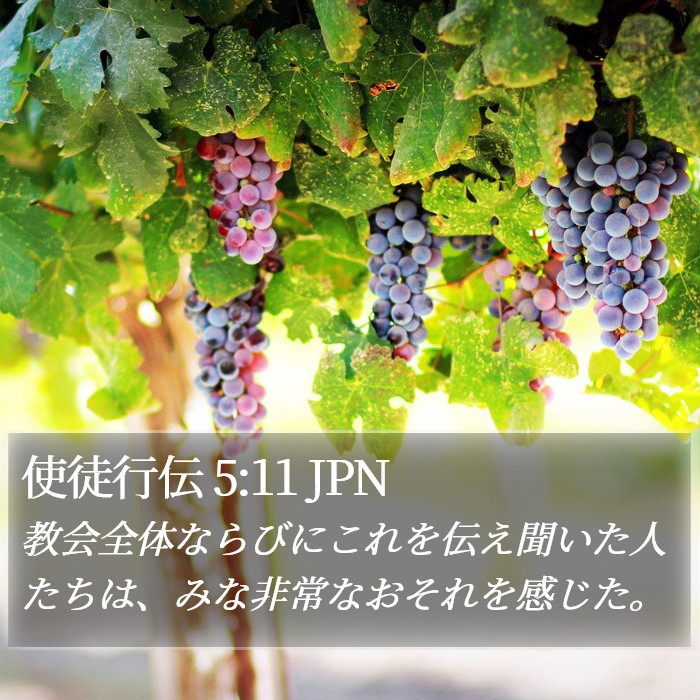 使徒行伝 5:11 JPN Bible Study
