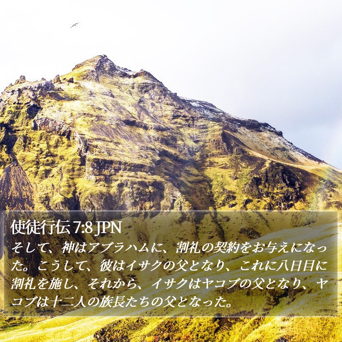 使徒行伝 7:8 JPN Bible Study
