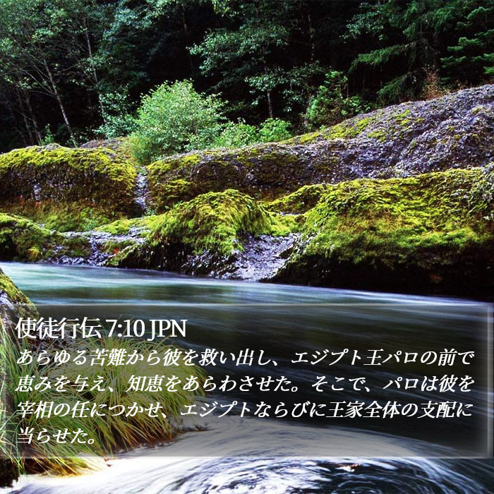使徒行伝 7:10 JPN Bible Study