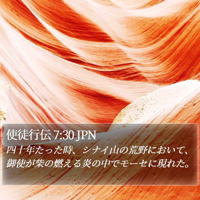 使徒行伝 7:30 JPN Bible Study