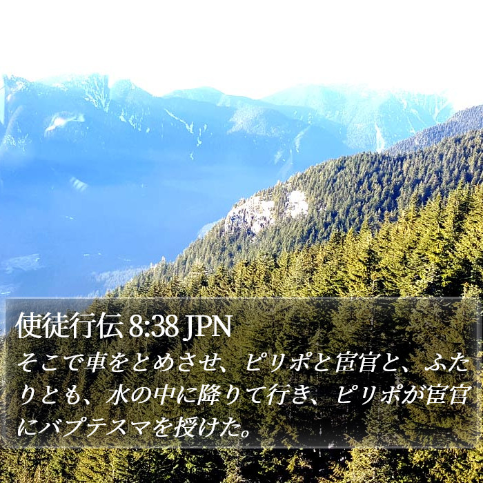 使徒行伝 8:38 JPN Bible Study