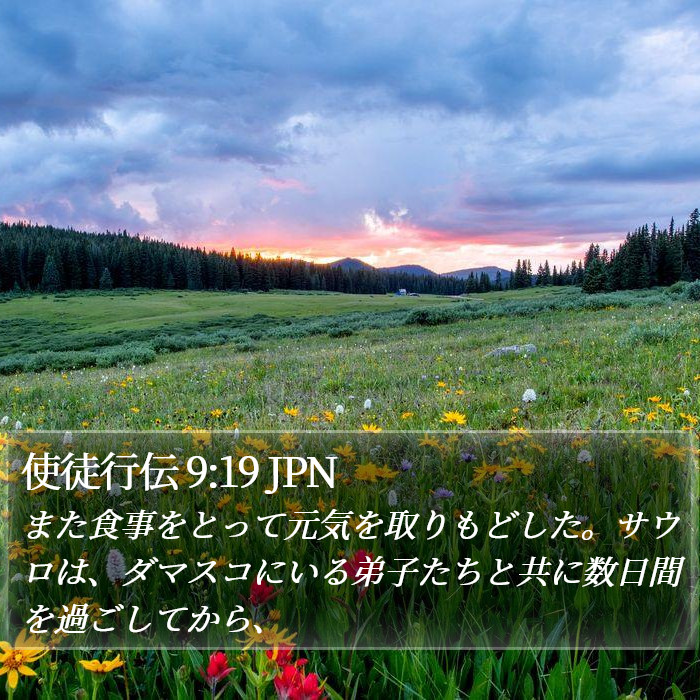 使徒行伝 9:19 JPN Bible Study